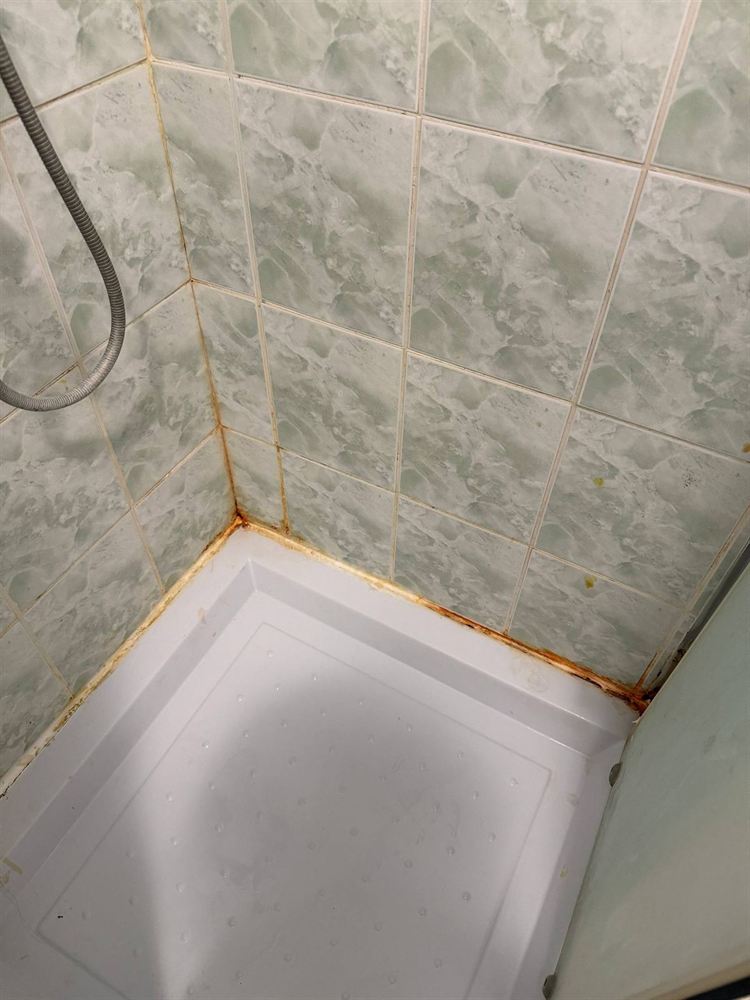 Pre čišćenja — Kärcher SC 3 Deluxe